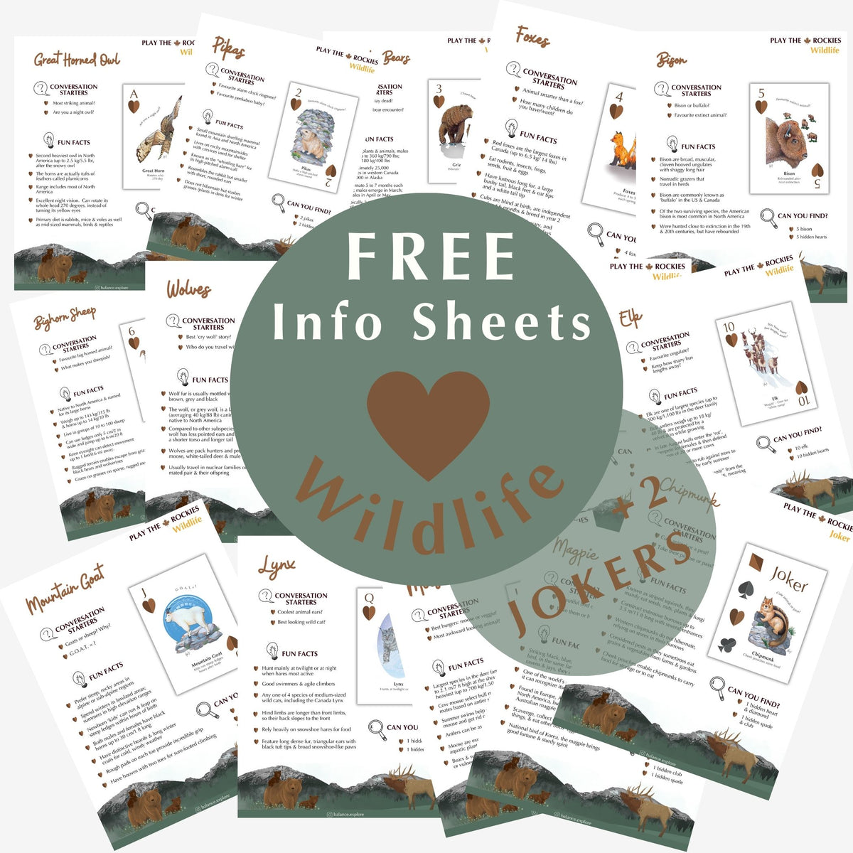 All 15 Wildlife - Information Sheets