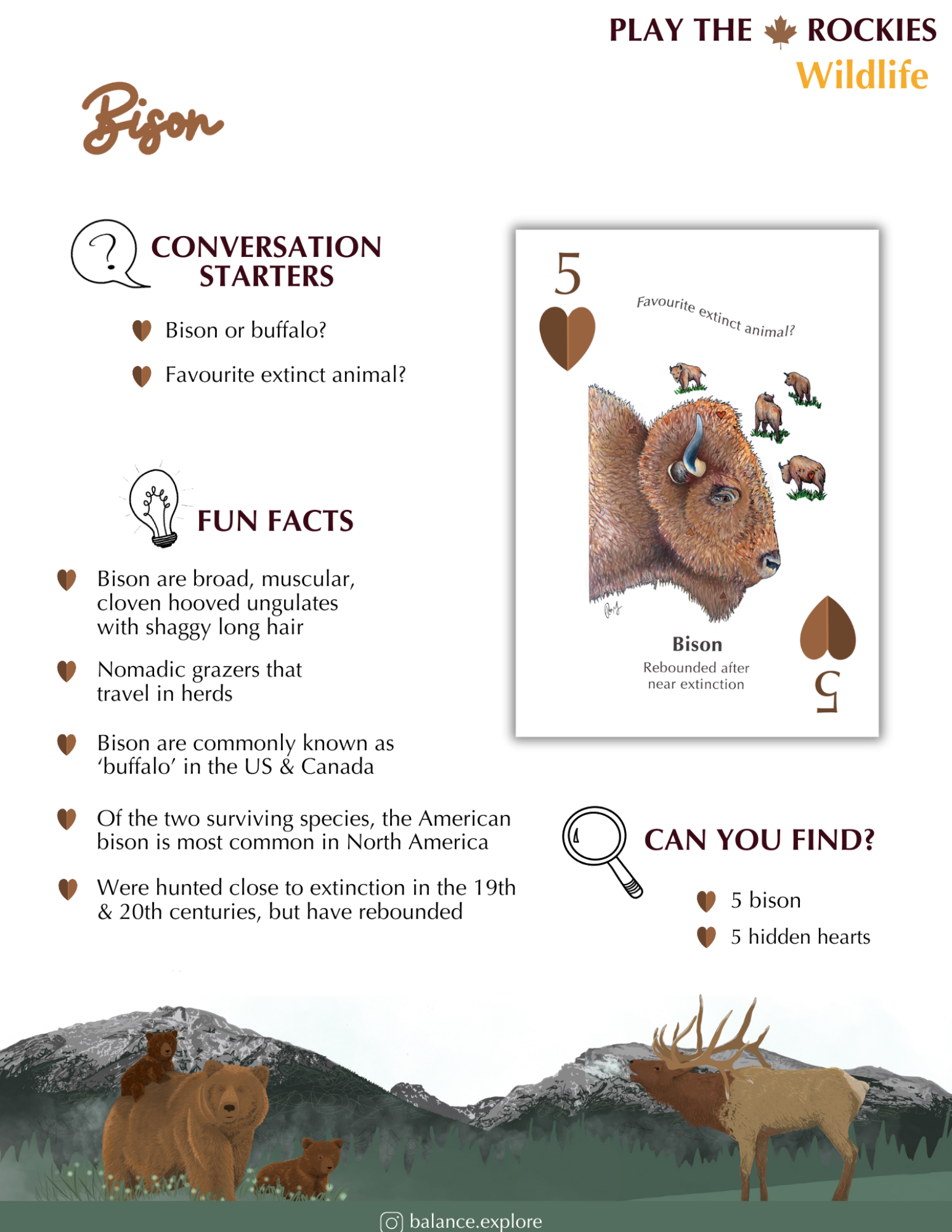 5 Bison - Wildlife - Information Sheet