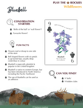 9 Bluebell - Wildflowers - Information Sheet