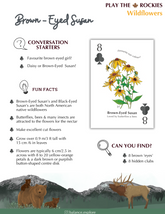 8 Brown-Eyed Susan - Wildflowers - Information Sheet