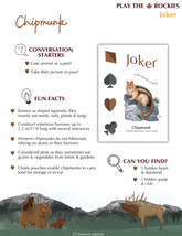 15 Joker - Chipmunk - Wildlife - Information Sheet