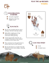 10 Elk - Wildlife - Information Sheet