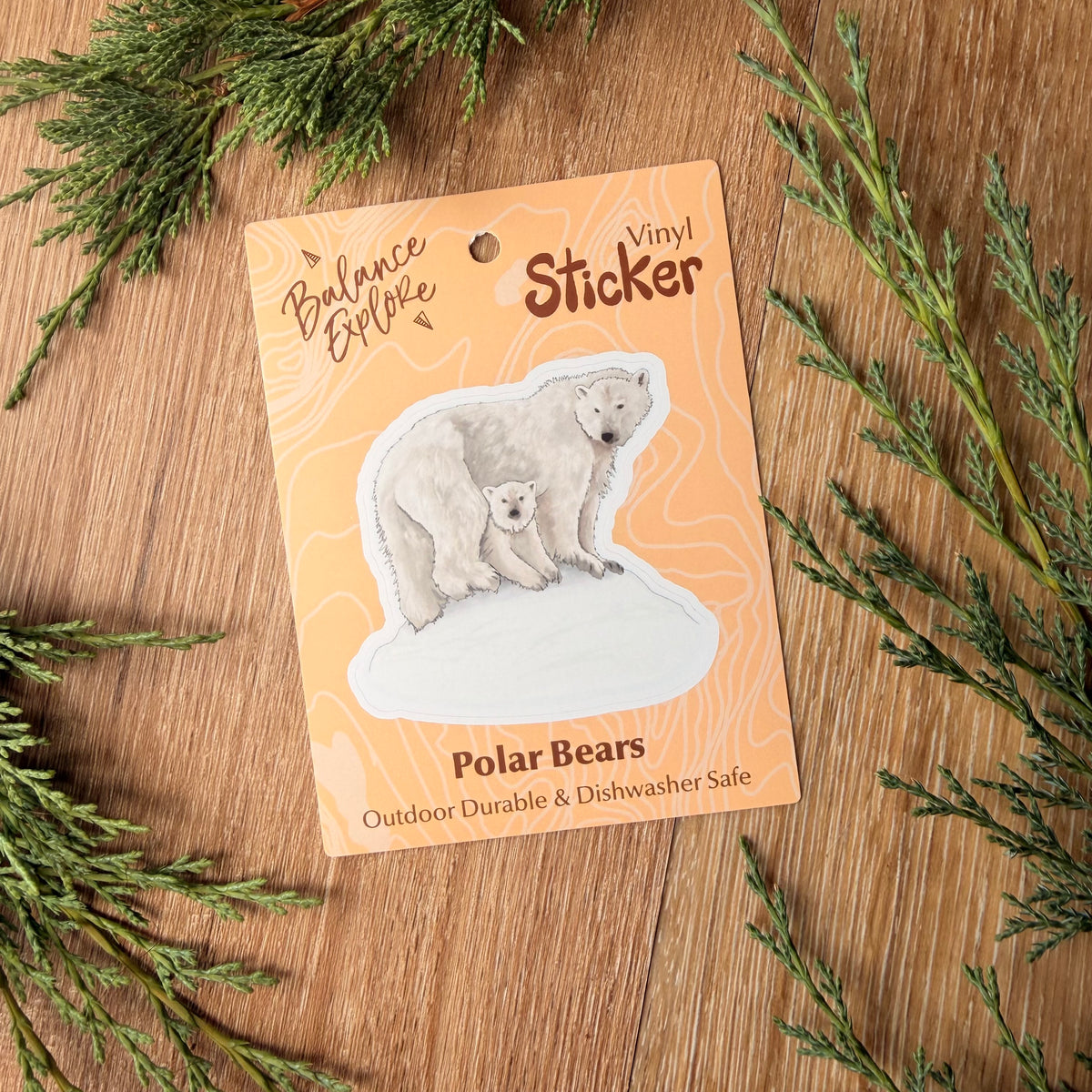 Polar Bears Sticker