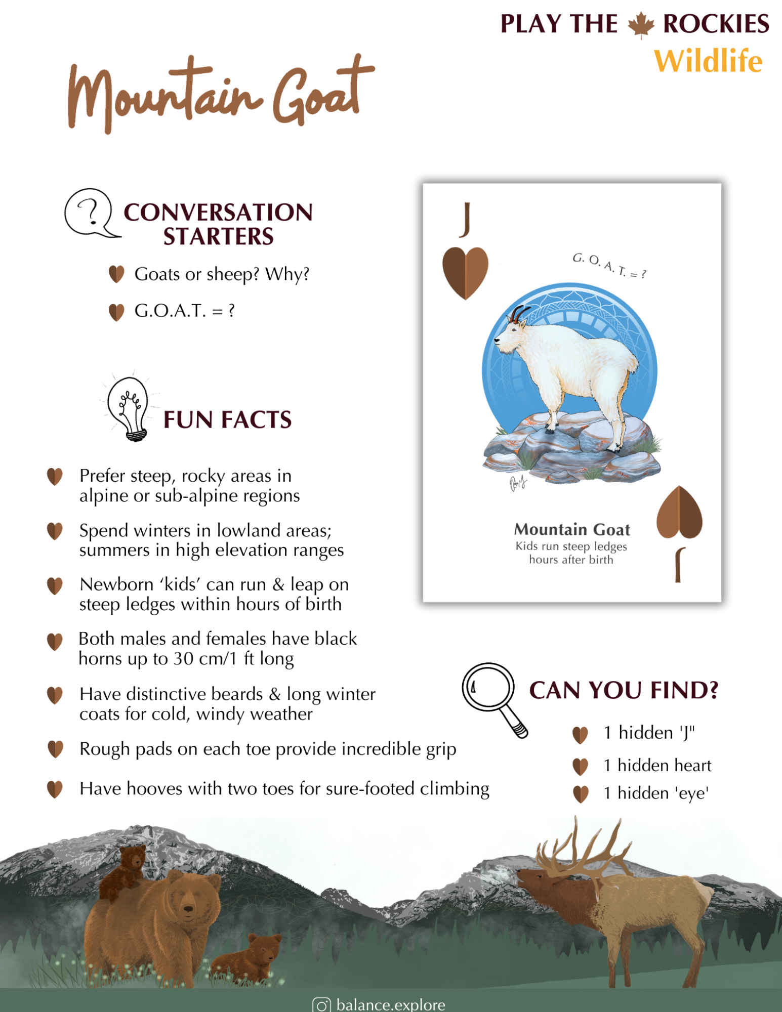 11 Jack - Mountain Goat - Wildlife - Information Sheet