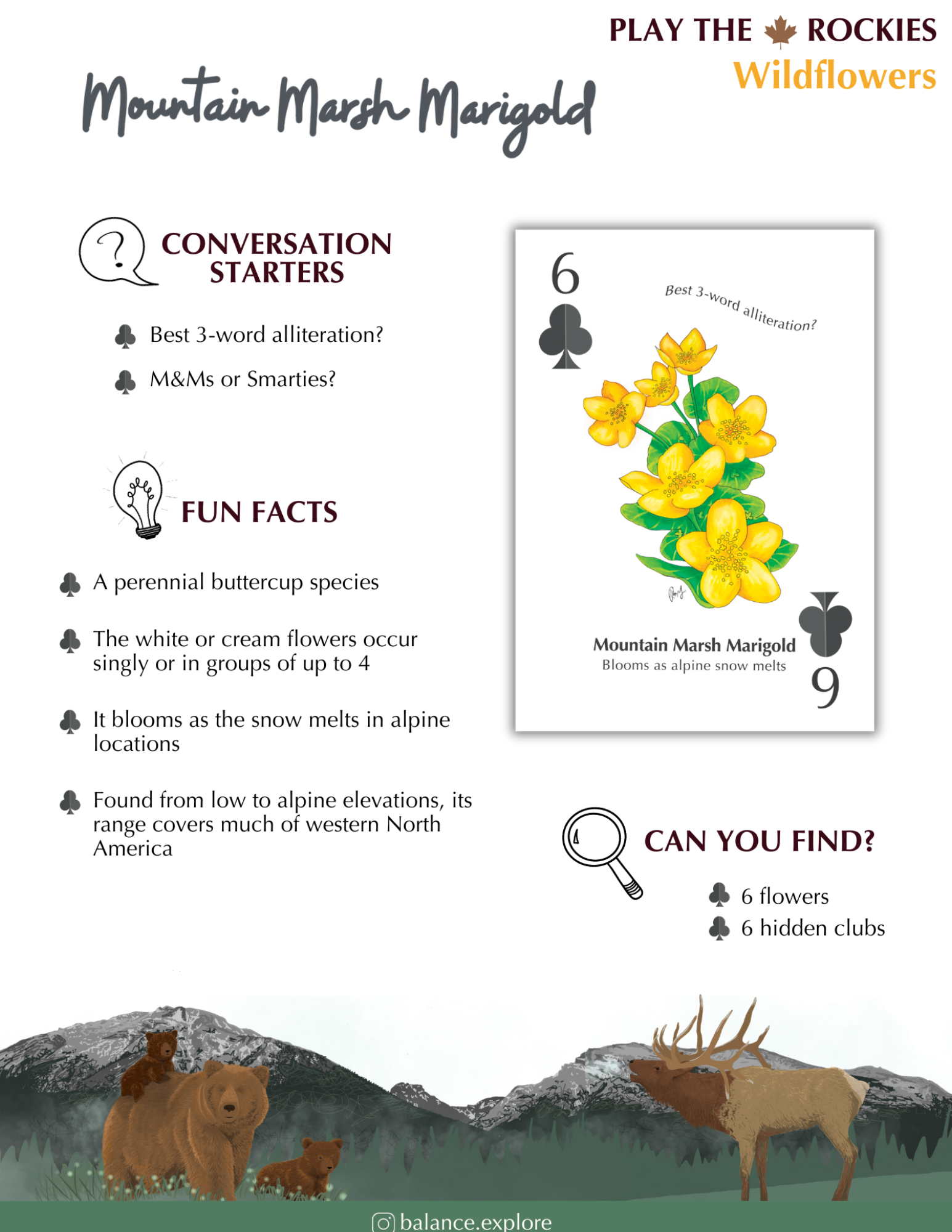 6 Mountain Marsh Marigold - Wildflowers - Information Sheet