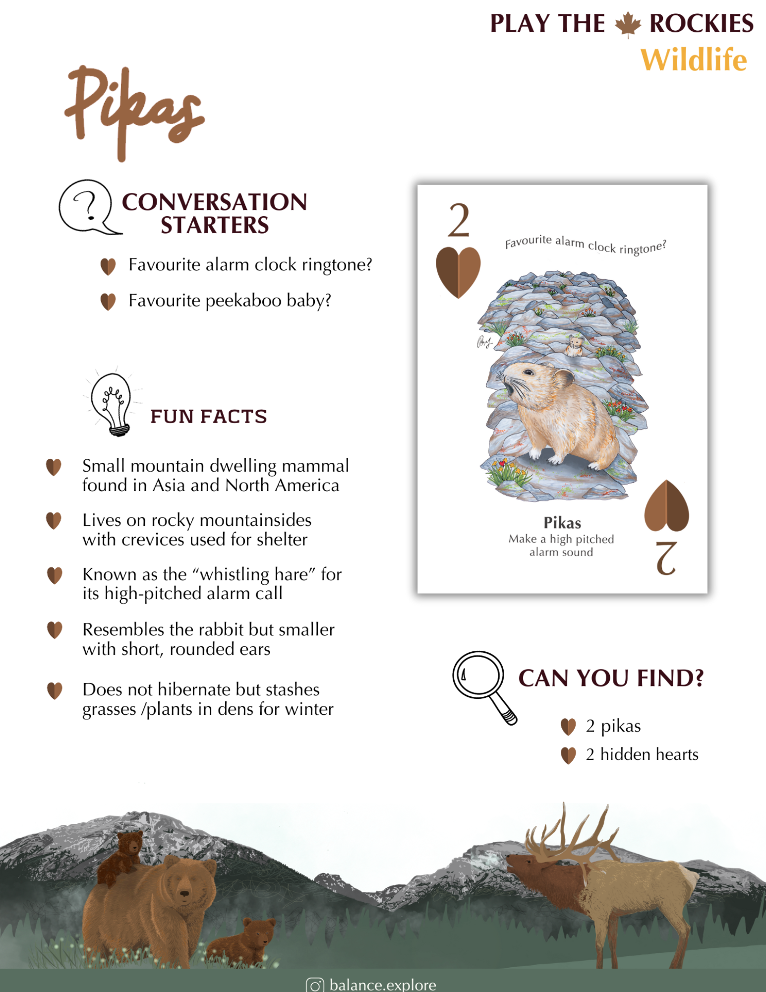 2 Pikas - Wildlife - Information Sheet