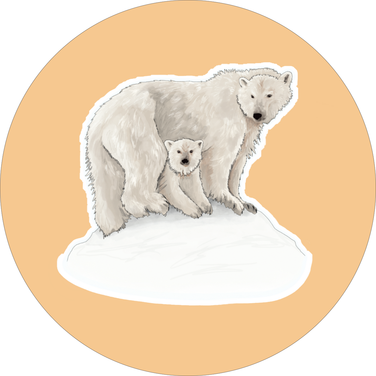 Polar Bears Sticker