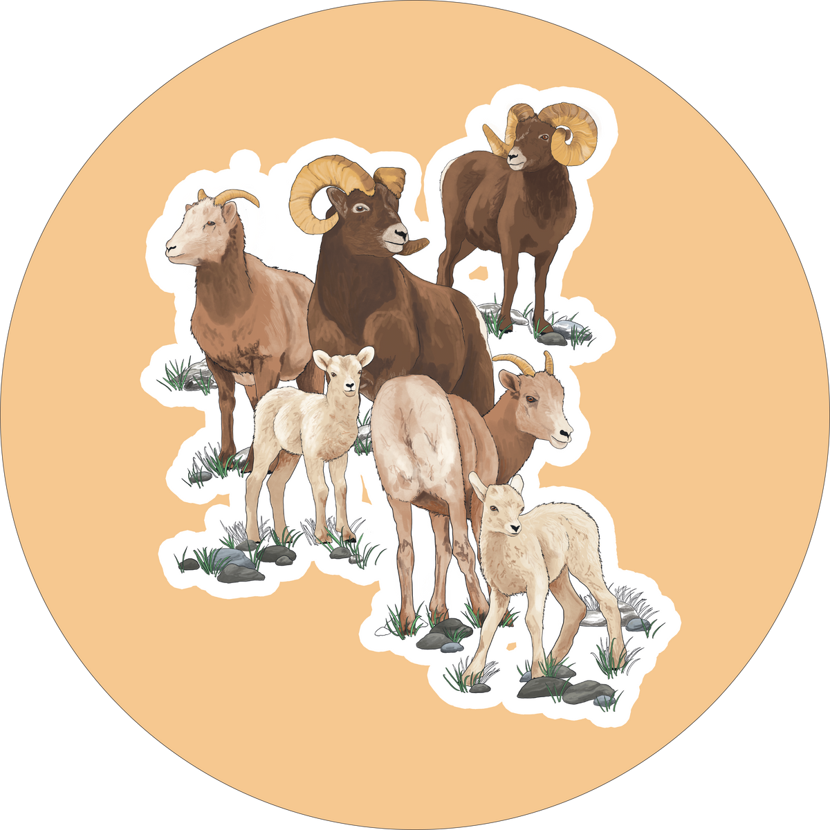 Bighorn Sheep Stickers