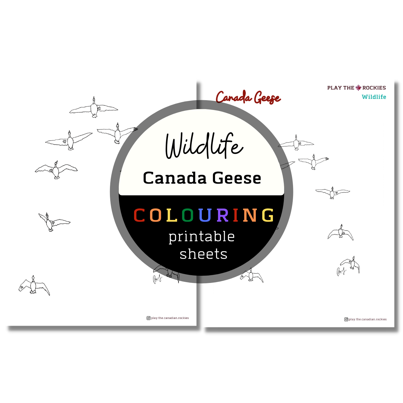 Set of 15 Wildlife Colouring Sheets ⌲ Printable