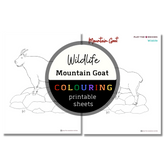 Wildlife: Mountain Goat Colouring Sheets ⌲ Printable