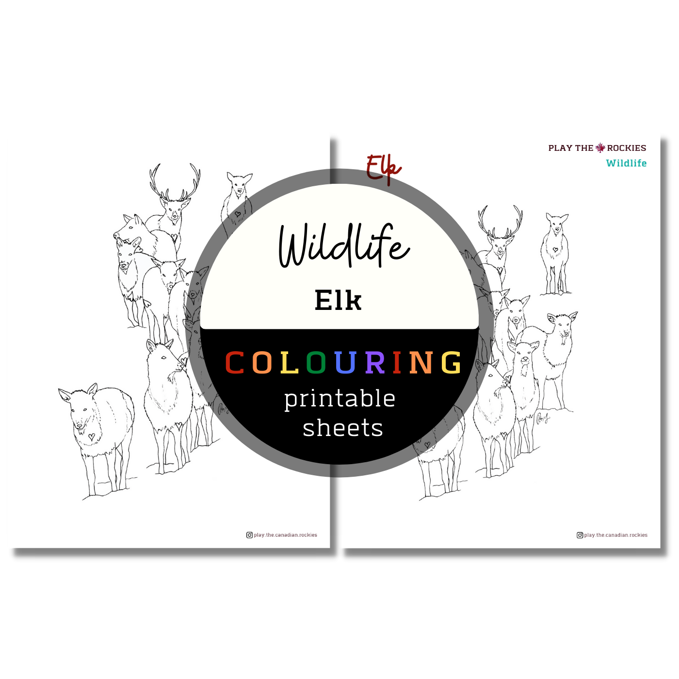 Set of 15 Wildlife Colouring Sheets ⌲ Printable