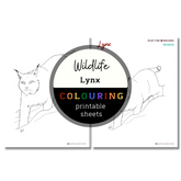Wildlife: Lynx Colouring Sheets ⌲ Printable