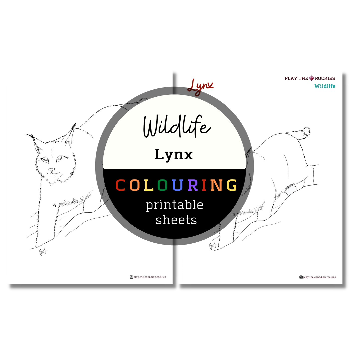 Set of 15 Wildlife Colouring Sheets ⌲ Printable