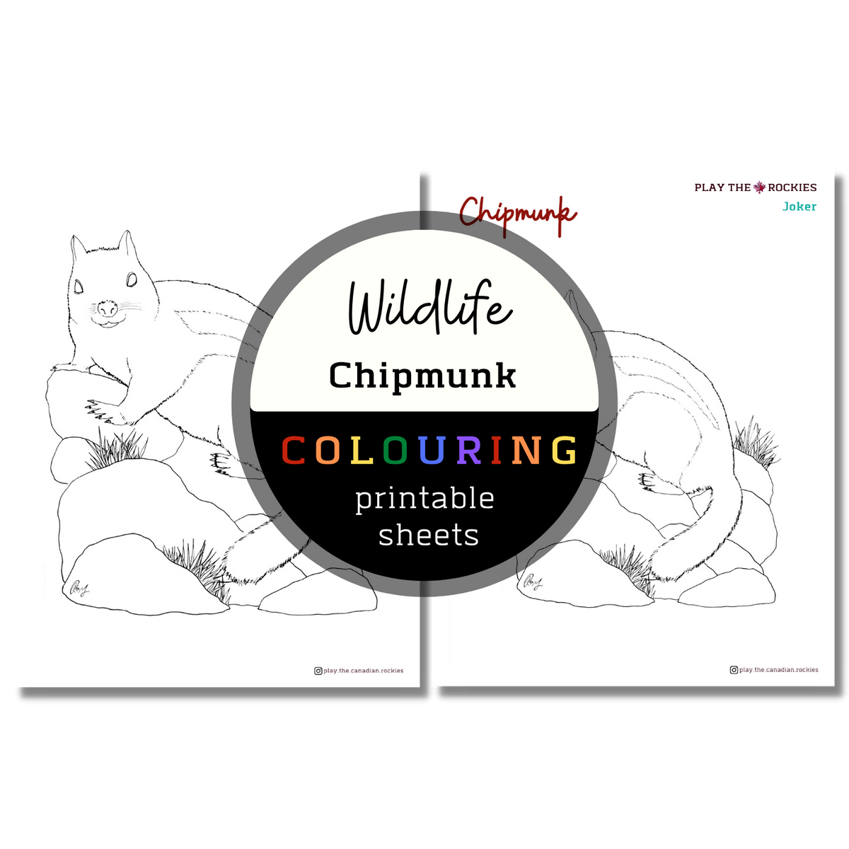 Wildlife: Chipmunk Colouring Sheets ⌲ Printable