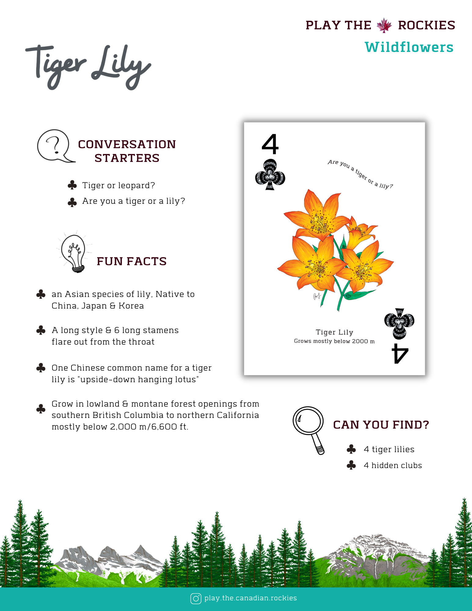 E-book of all: 54 Information Sheets • Mountains • Wildlife • Activities • Wildflowers