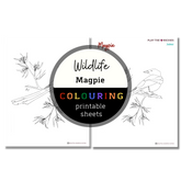 Wildlife: Magpie Colouring Sheets ⌲ Printable