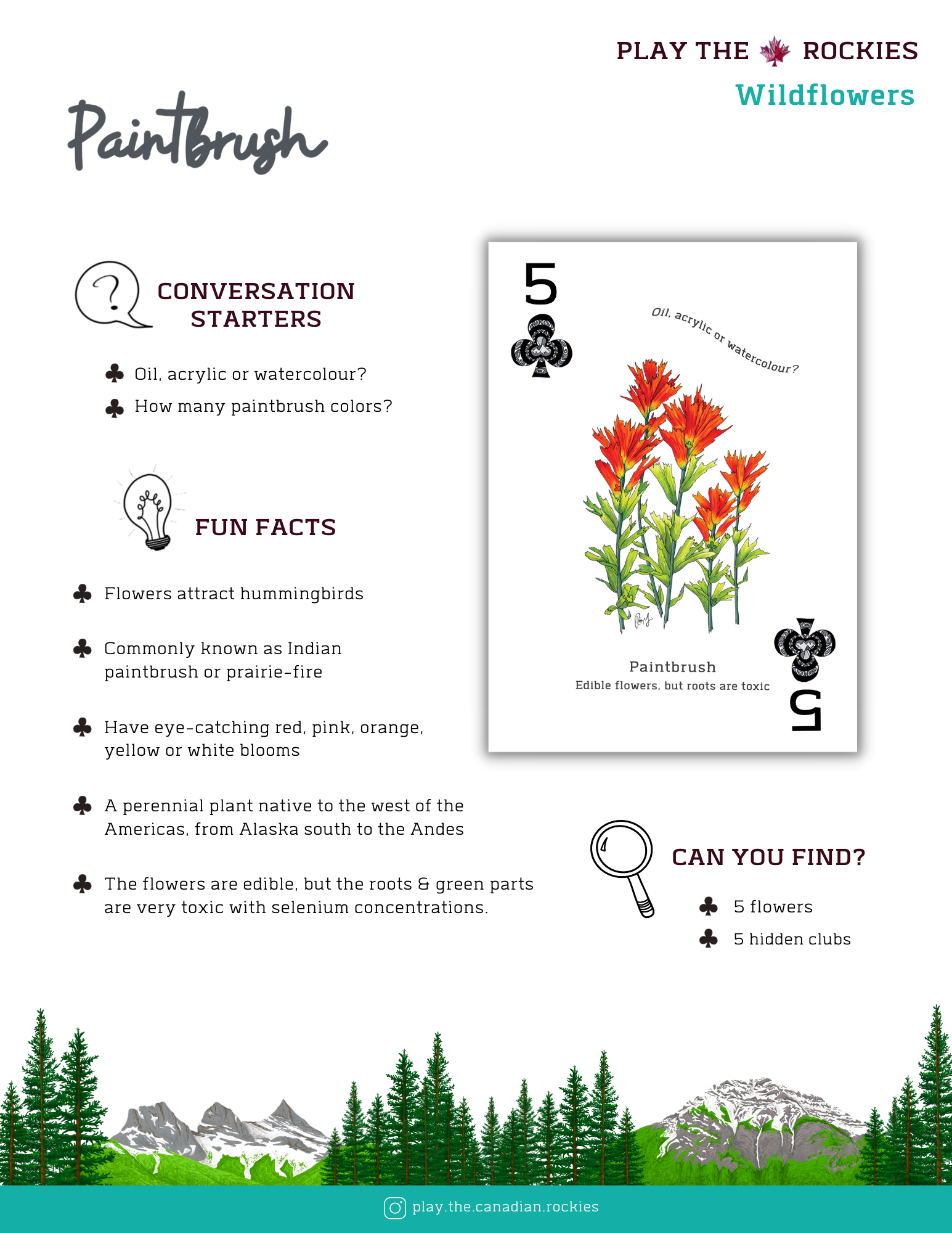 E-book of all: 54 Information Sheets • Mountains • Wildlife • Activities • Wildflowers