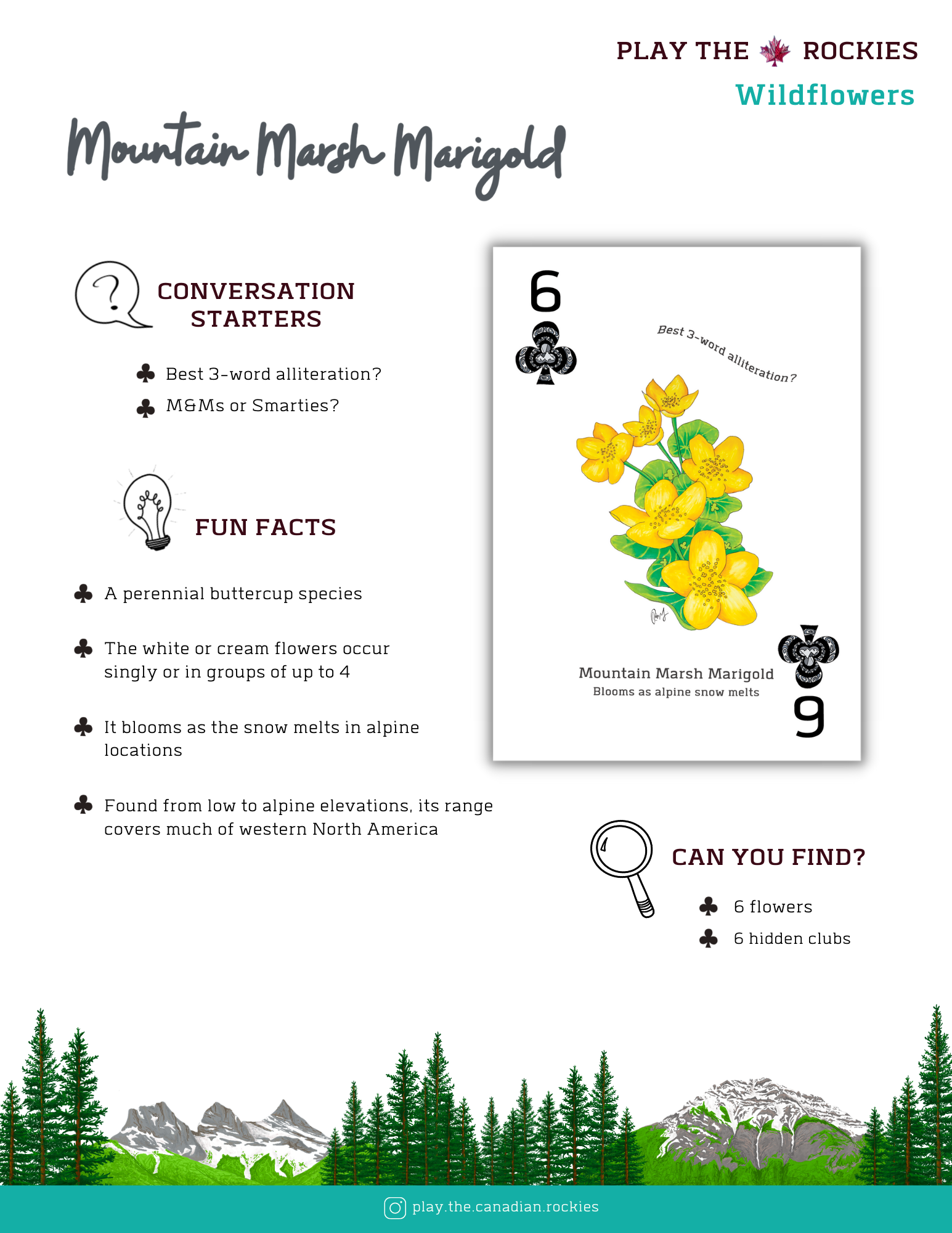 E-book of all: 54 Information Sheets • Mountains • Wildlife • Activities • Wildflowers