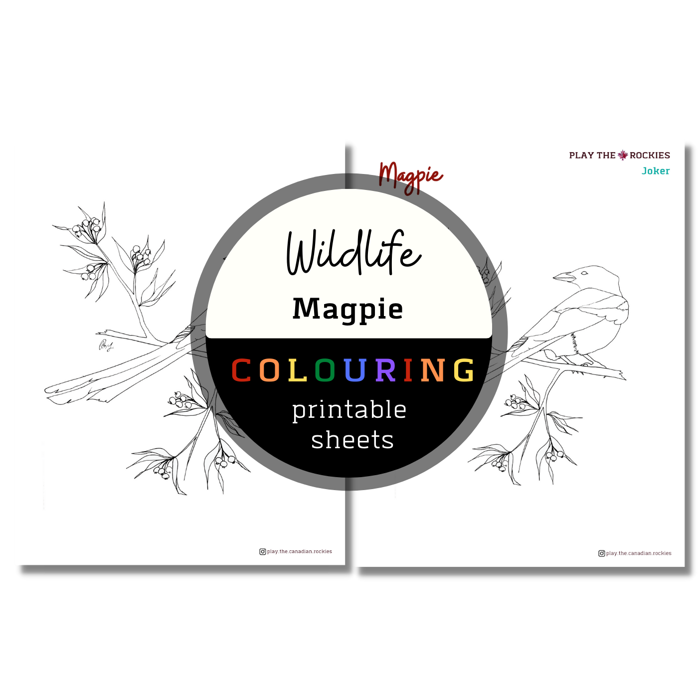 Set of 15 Wildlife Colouring Sheets ⌲ Printable