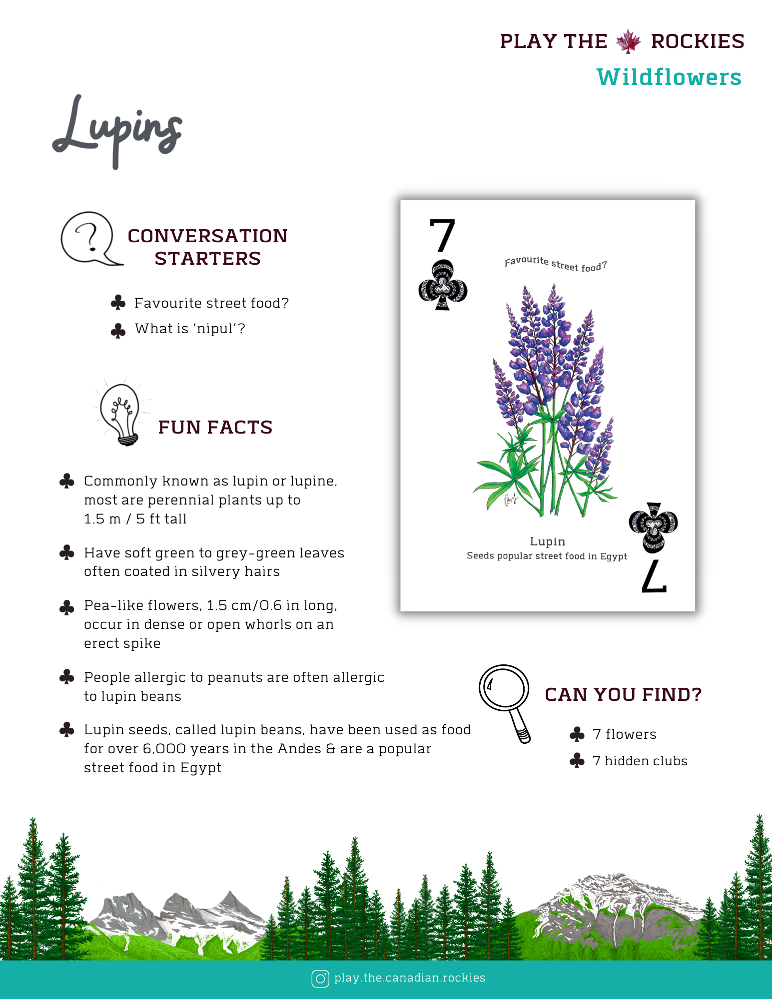 E-book of all: 54 Information Sheets • Mountains • Wildlife • Activities • Wildflowers