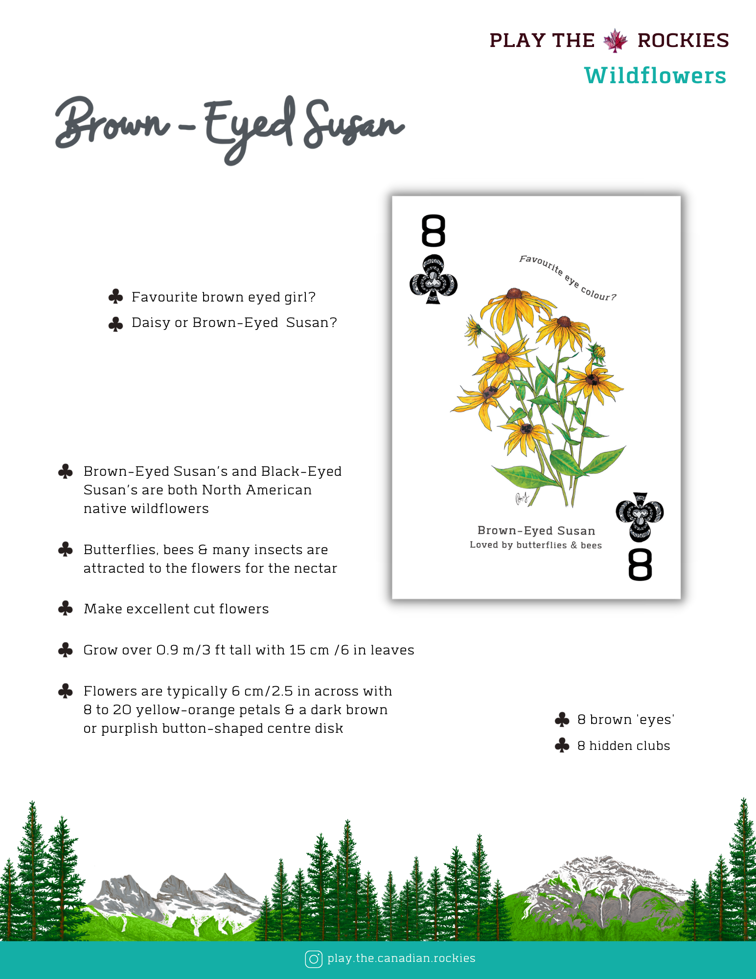 E-book of all: 54 Information Sheets • Mountains • Wildlife • Activities • Wildflowers