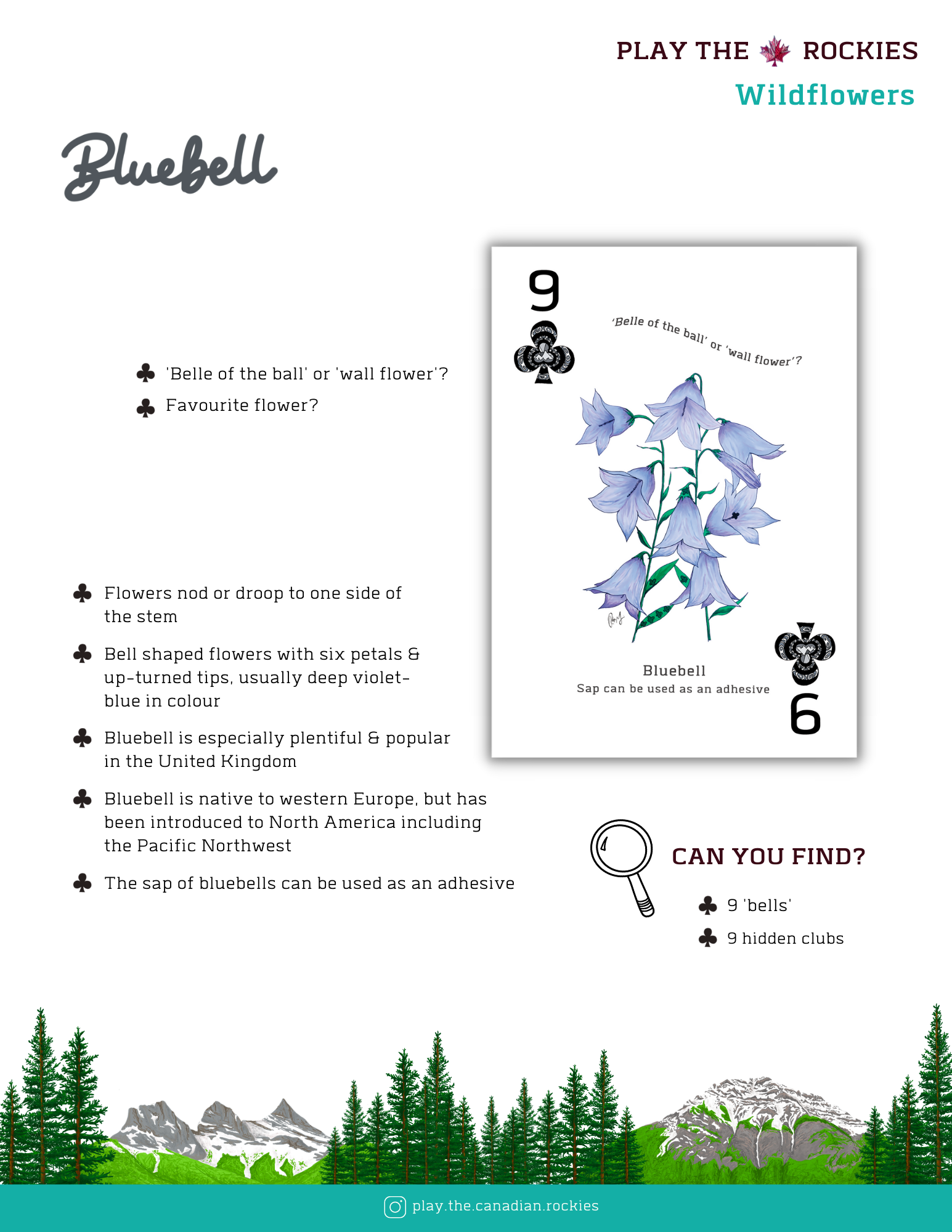 E-book of all: 54 Information Sheets • Mountains • Wildlife • Activities • Wildflowers