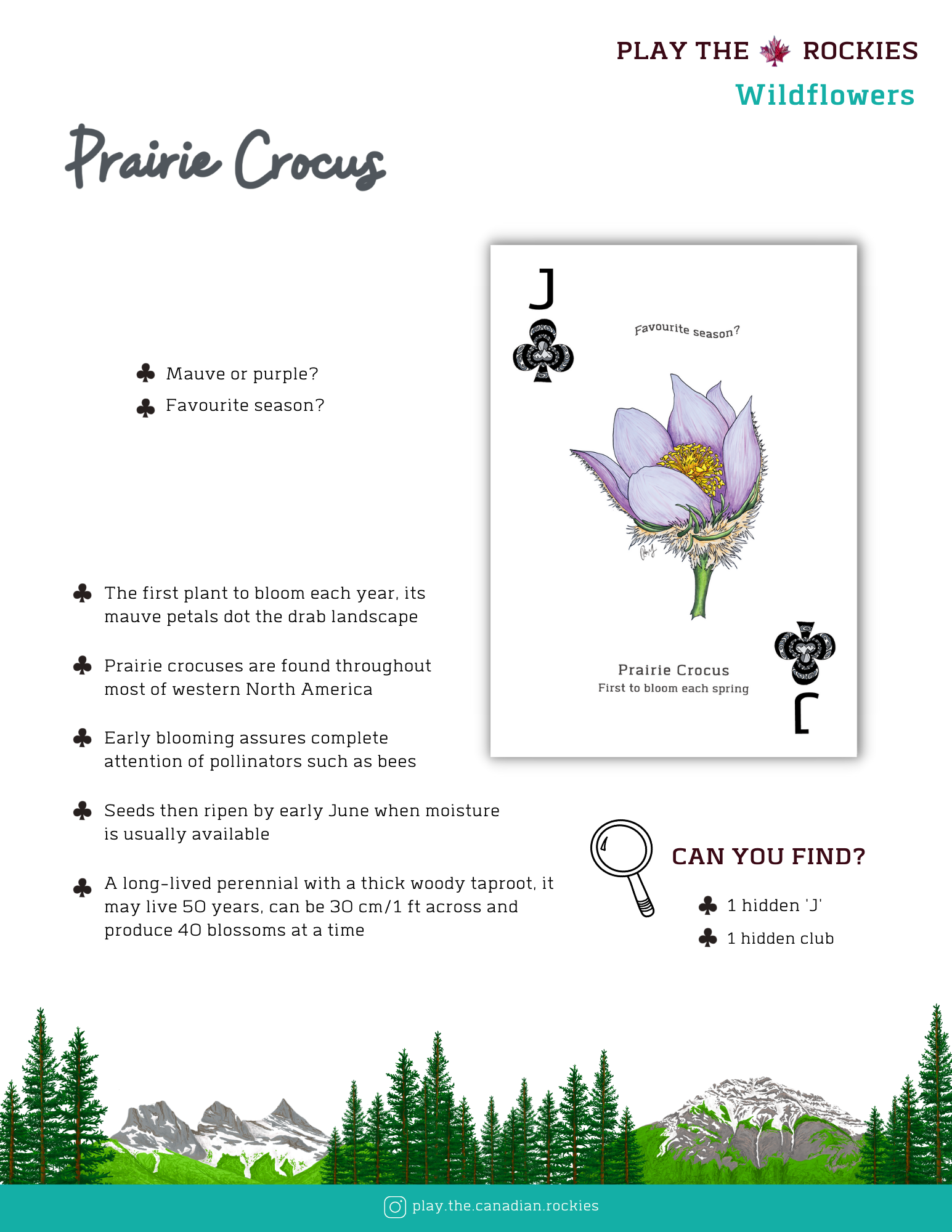 E-book of all: 54 Information Sheets • Mountains • Wildlife • Activities • Wildflowers