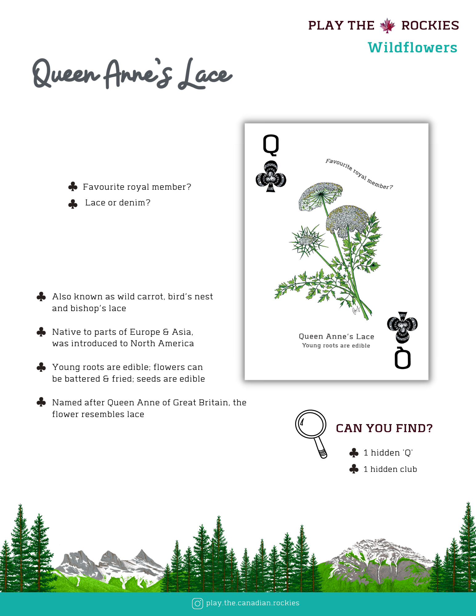 E-book of all: 54 Information Sheets • Mountains • Wildlife • Activities • Wildflowers