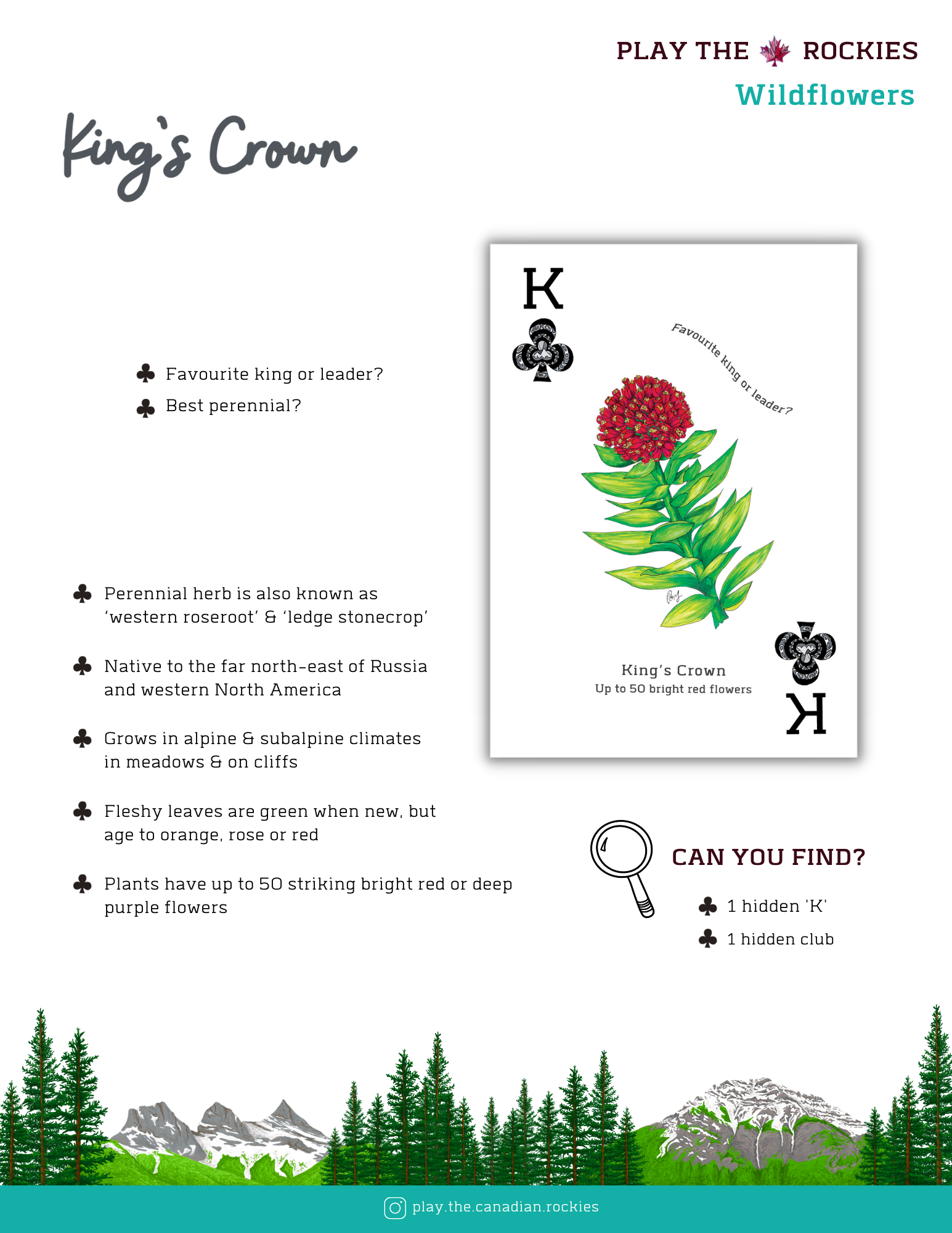 E-book of all: 54 Information Sheets • Mountains • Wildlife • Activities • Wildflowers