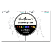 Wildflower: Shooting Star Colouring Sheets ⌲ Printable