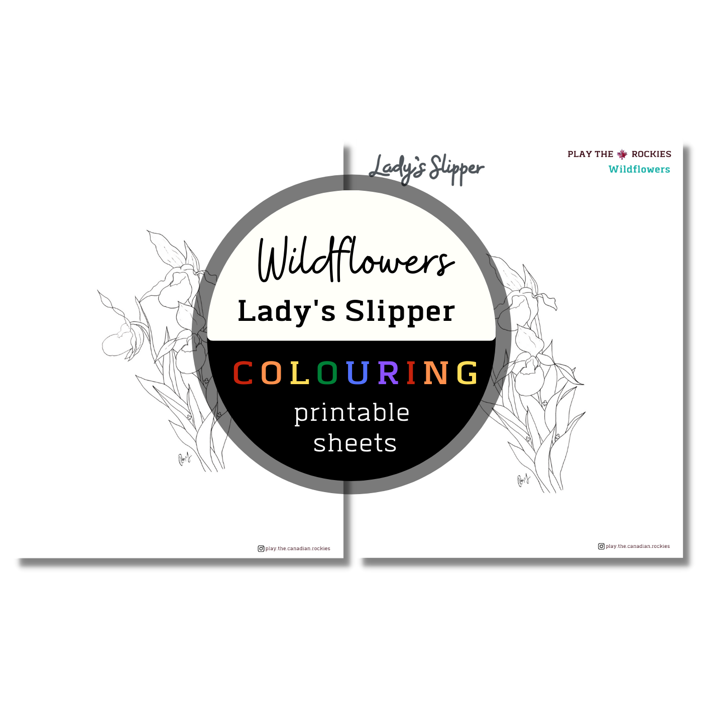 Set of 13 Wildflower Colouring Sheets ⌲ Printable