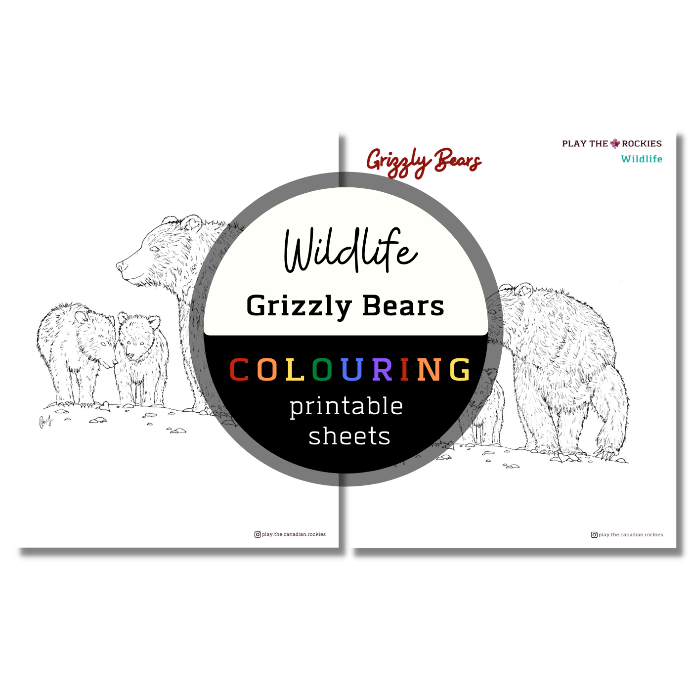Wildlife: Grizzly Bears Colouring Sheets ⌲ Printable