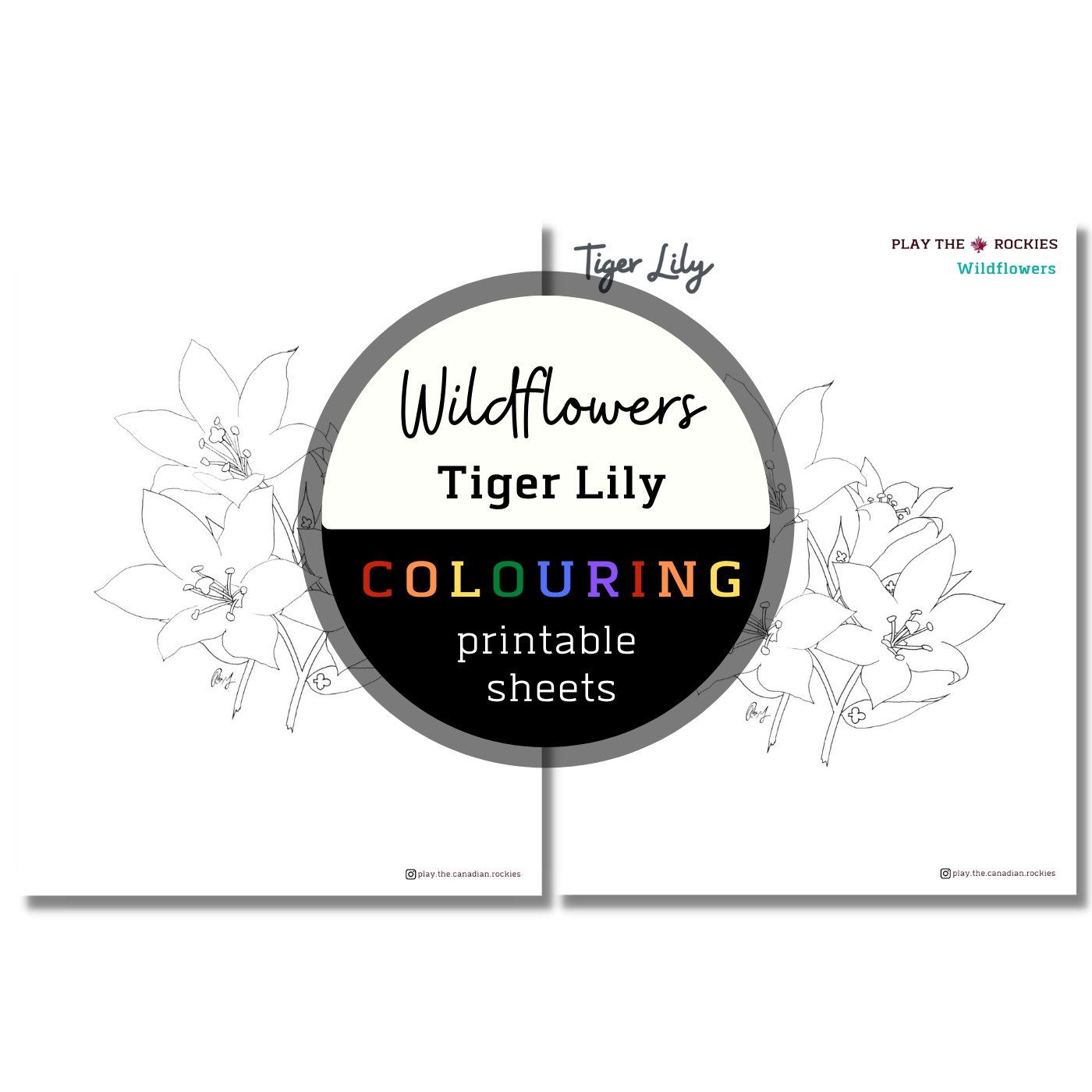 Set of 13 Wildflower Colouring Sheets ⌲ Printable