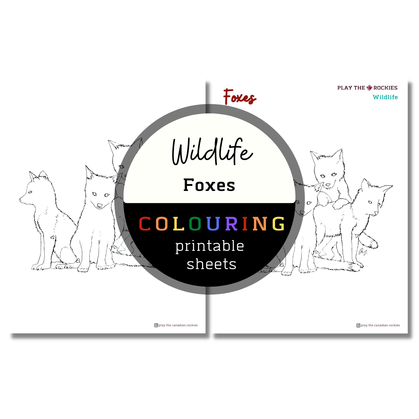 Wildlife: Foxes Colouring Sheets ⌲ Printable
