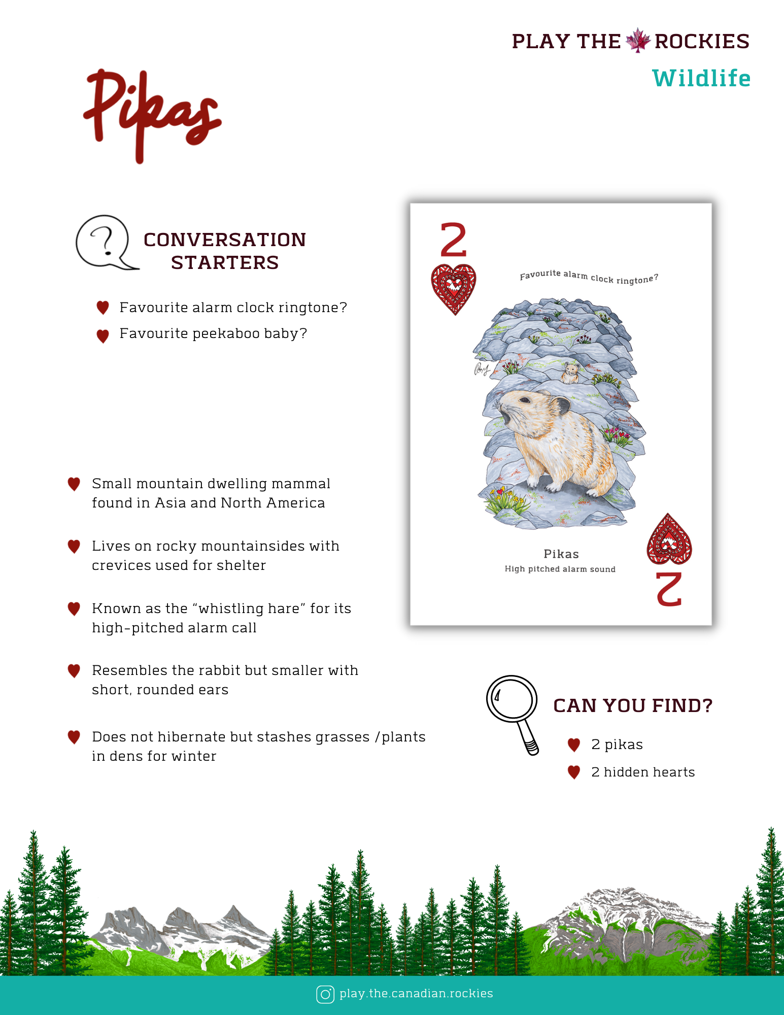 E-book of all: 54 Information Sheets • Mountains • Wildlife • Activities • Wildflowers