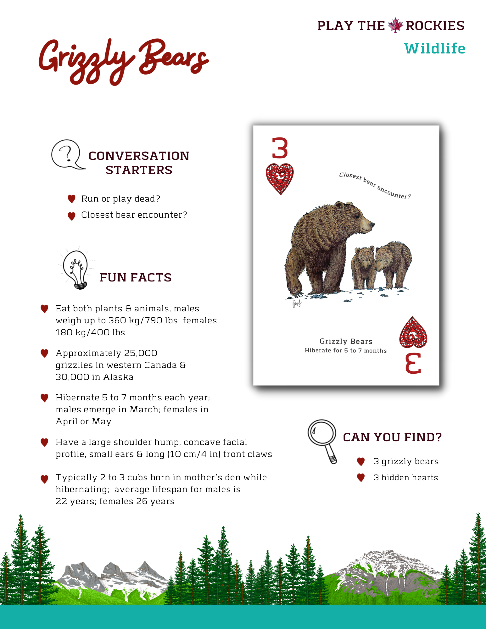 E-book of all: 54 Information Sheets • Mountains • Wildlife • Activities • Wildflowers