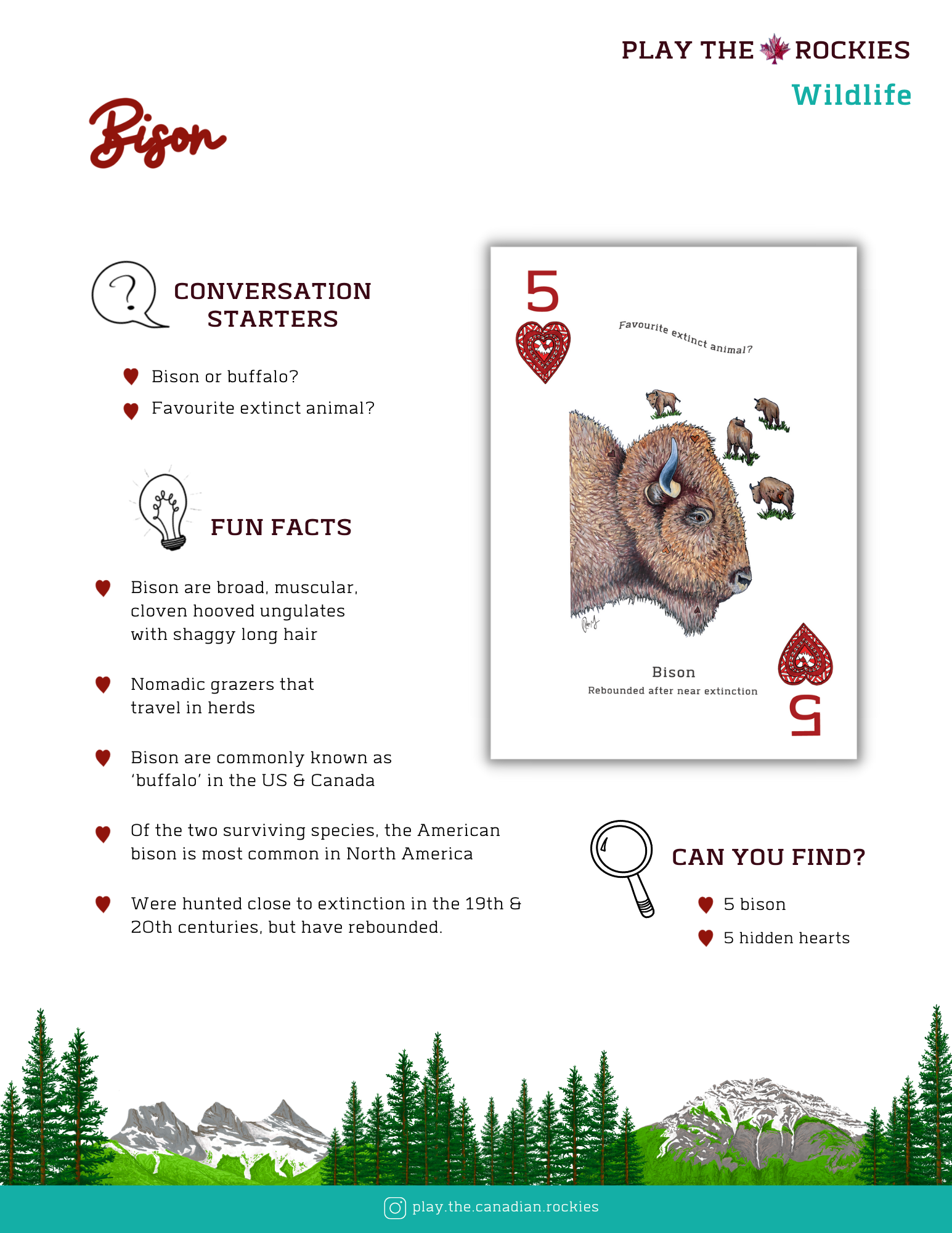 E-book of all: 54 Information Sheets • Mountains • Wildlife • Activities • Wildflowers