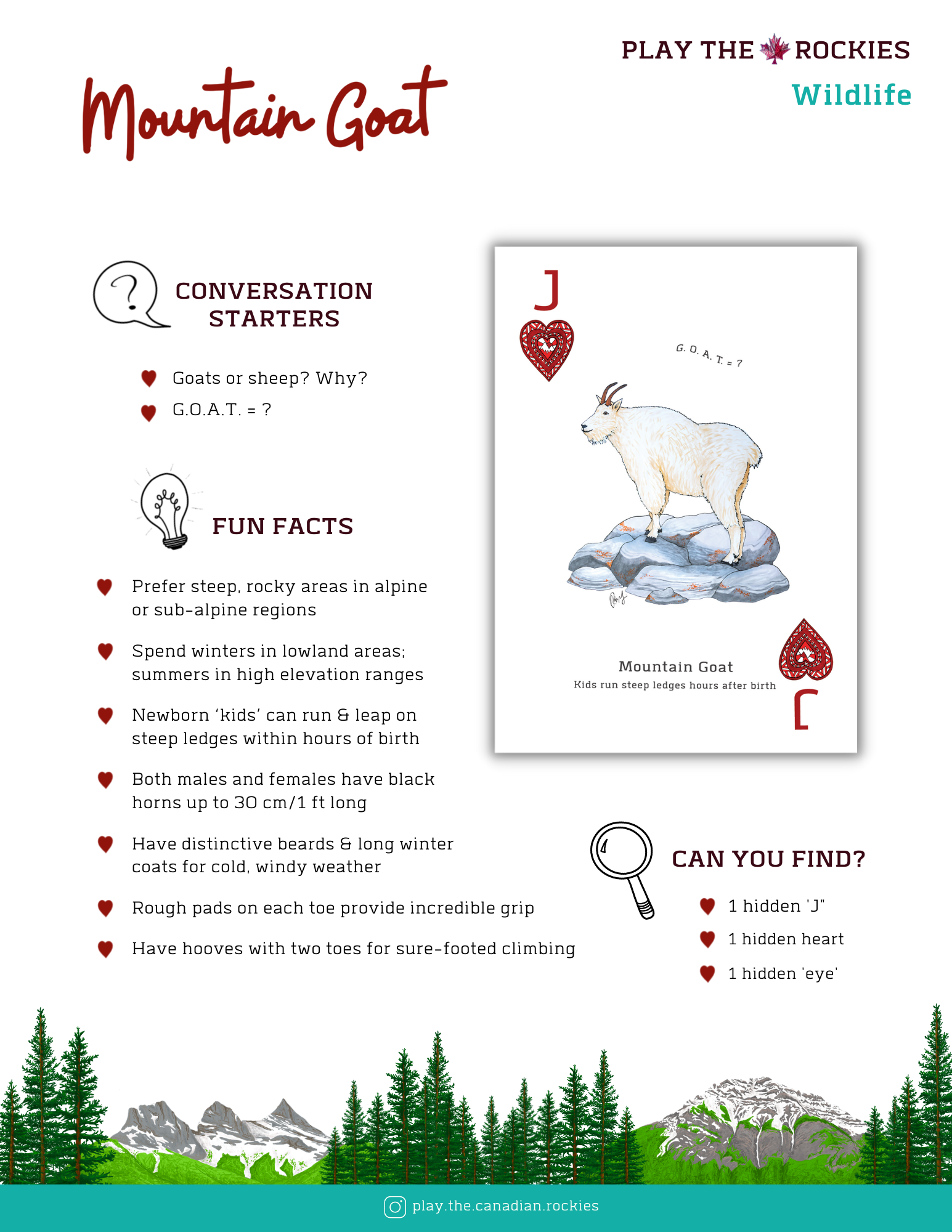 E-book of all: 54 Information Sheets • Mountains • Wildlife • Activities • Wildflowers