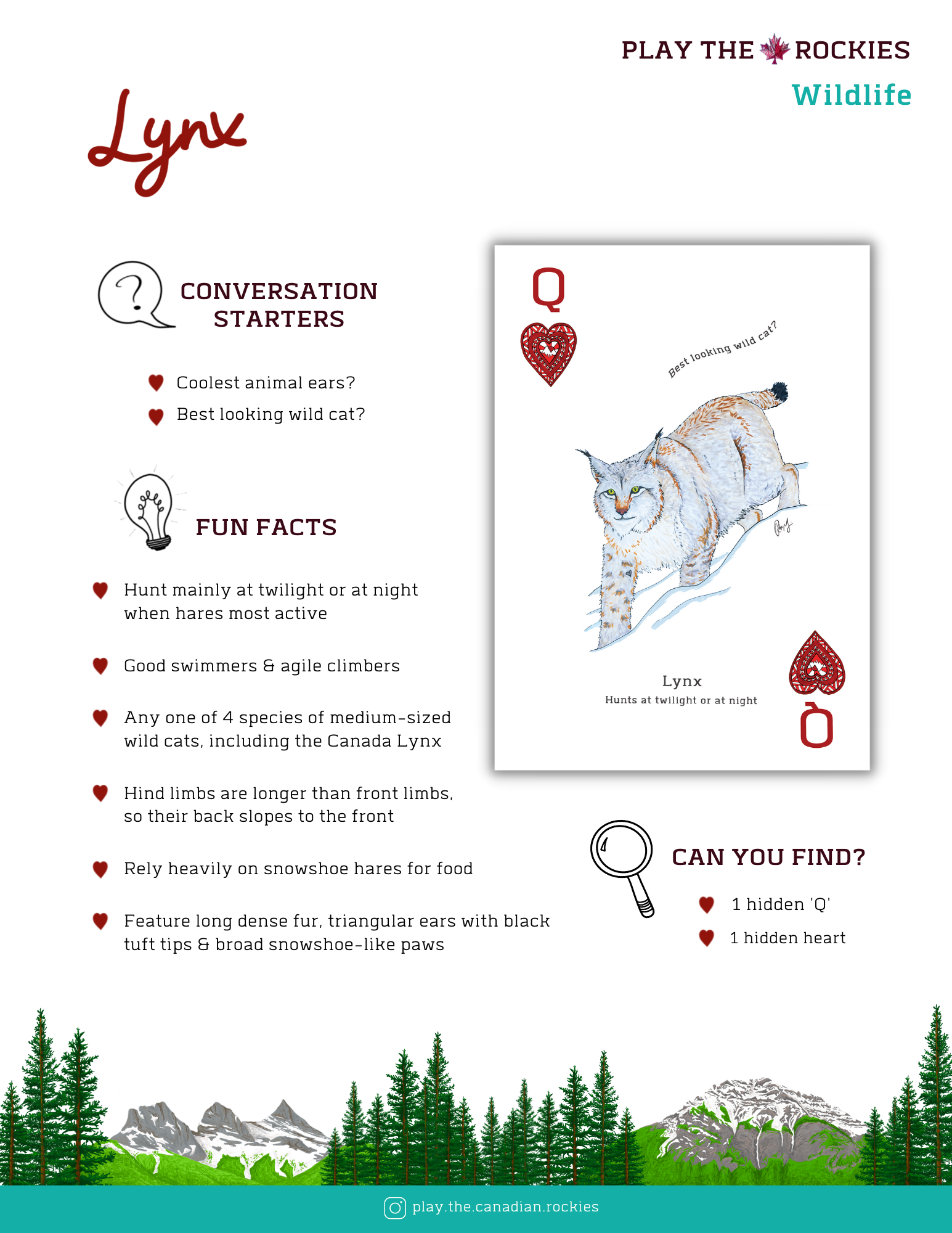 E-book of all: 54 Information Sheets • Mountains • Wildlife • Activities • Wildflowers
