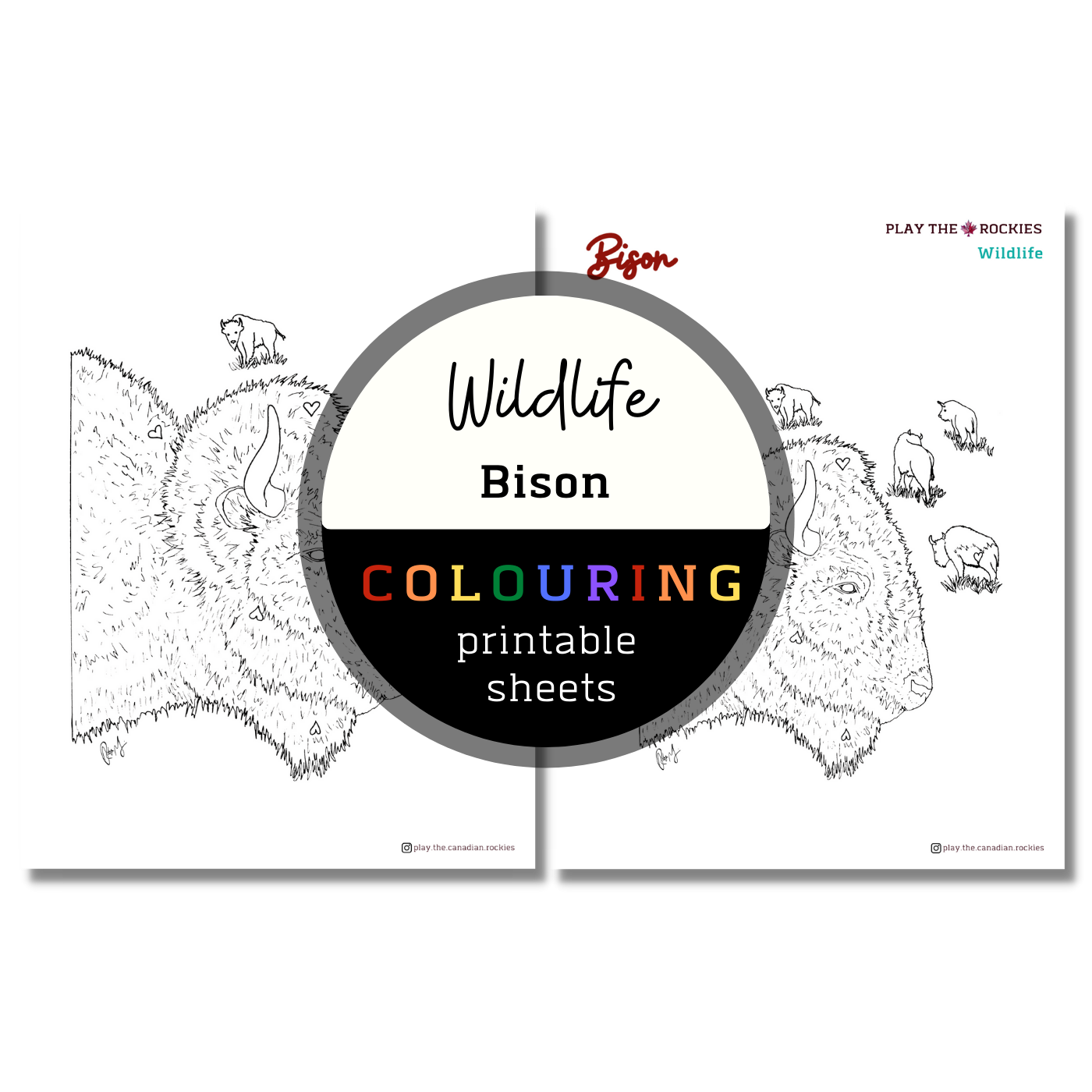 Set of 15 Wildlife Colouring Sheets ⌲ Printable