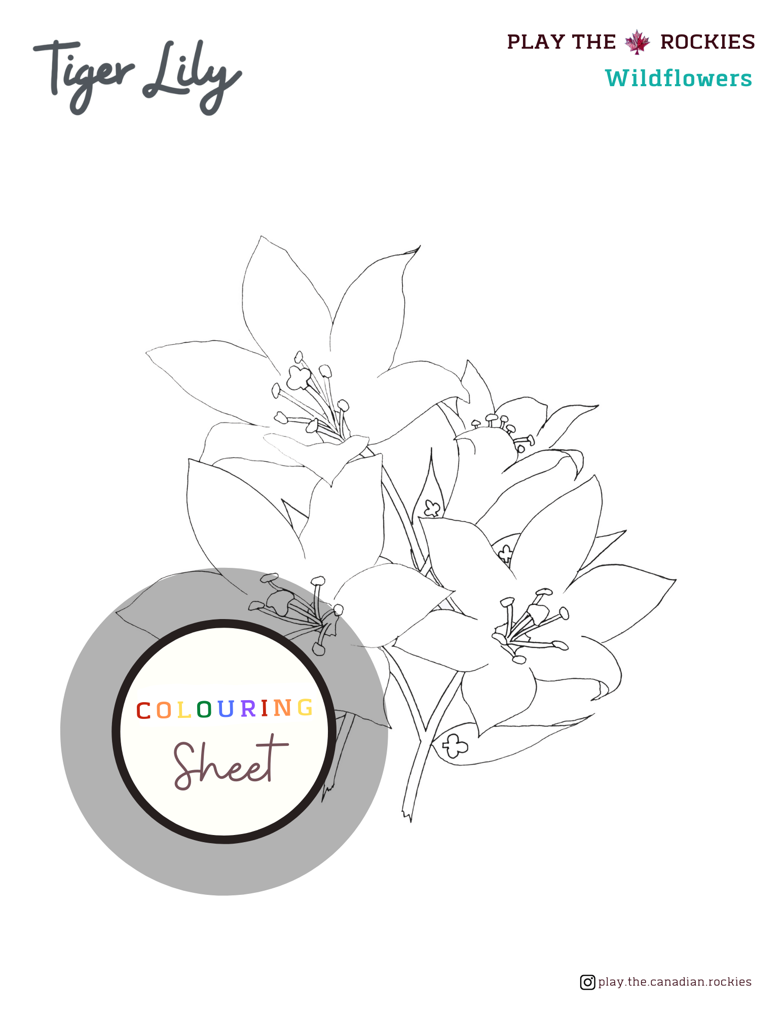 E-book: Colouring Book Play the Canadian Rockies ⌲ Printable