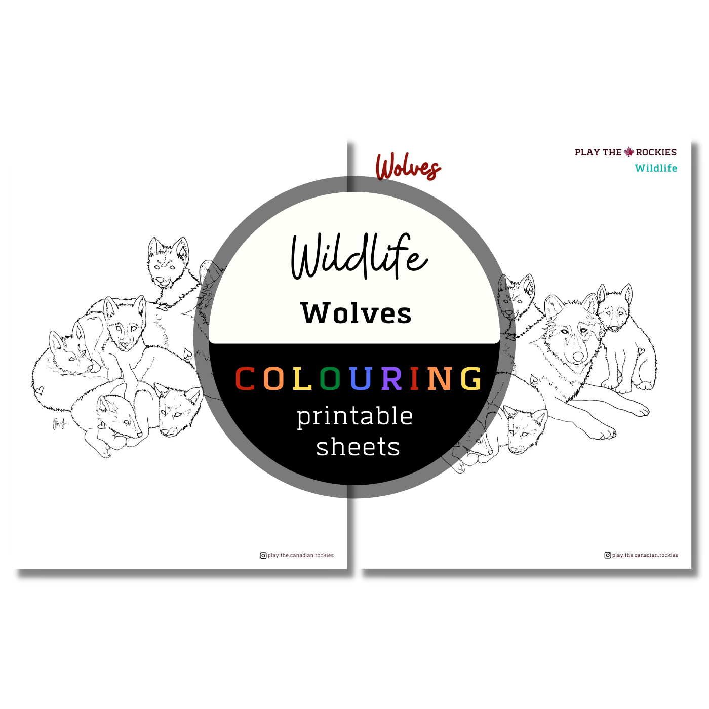 Set of 15 Wildlife Colouring Sheets ⌲ Printable