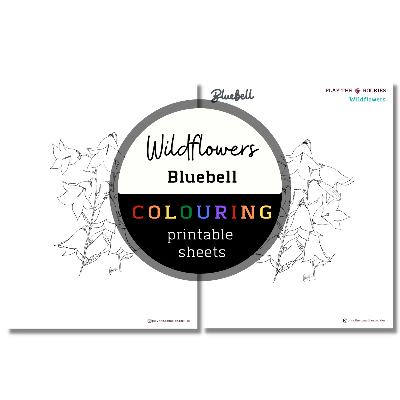 Set of 13 Wildflower Colouring Sheets ⌲ Printable