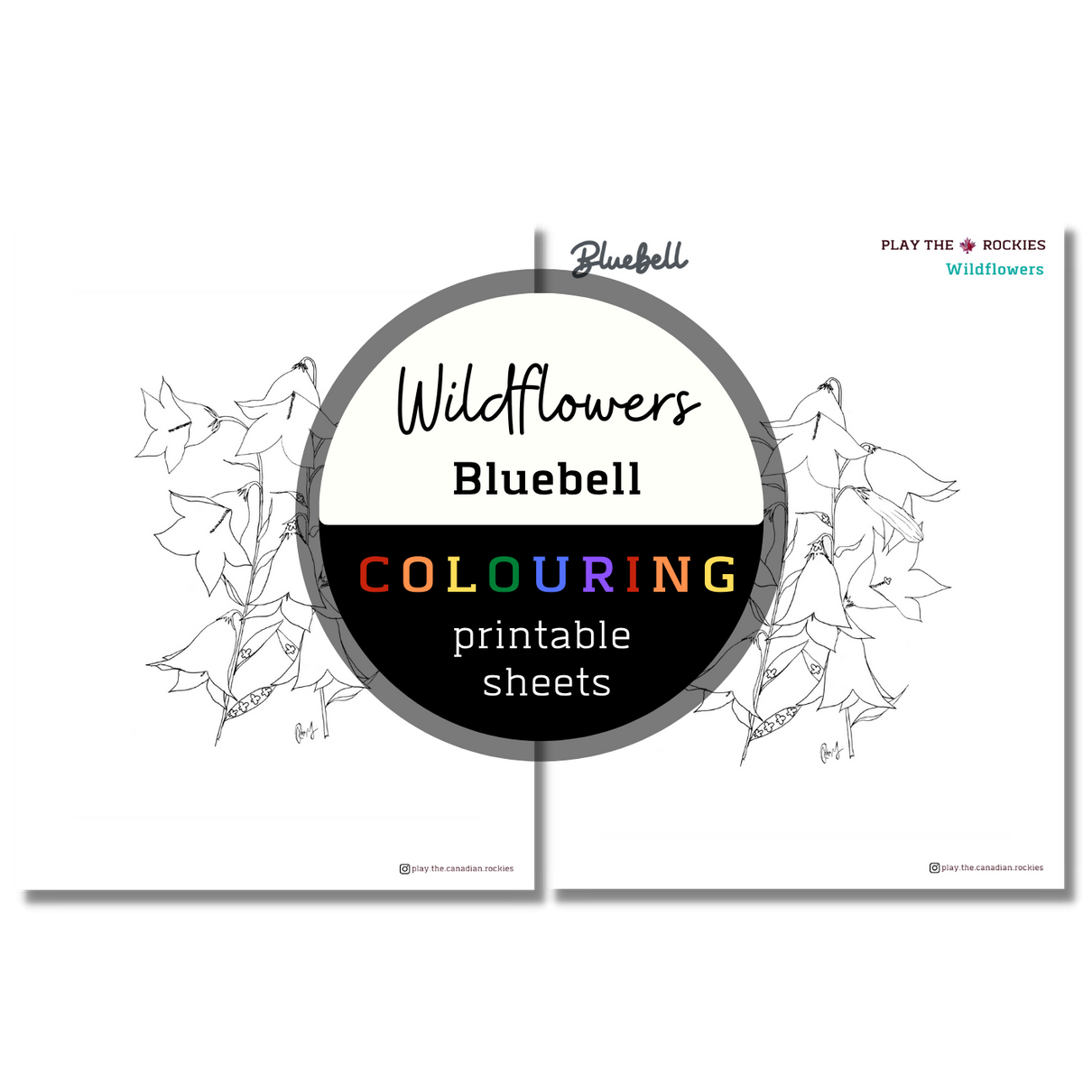 Wildflower: Blue Bells Colouring Sheets ⌲ Printable