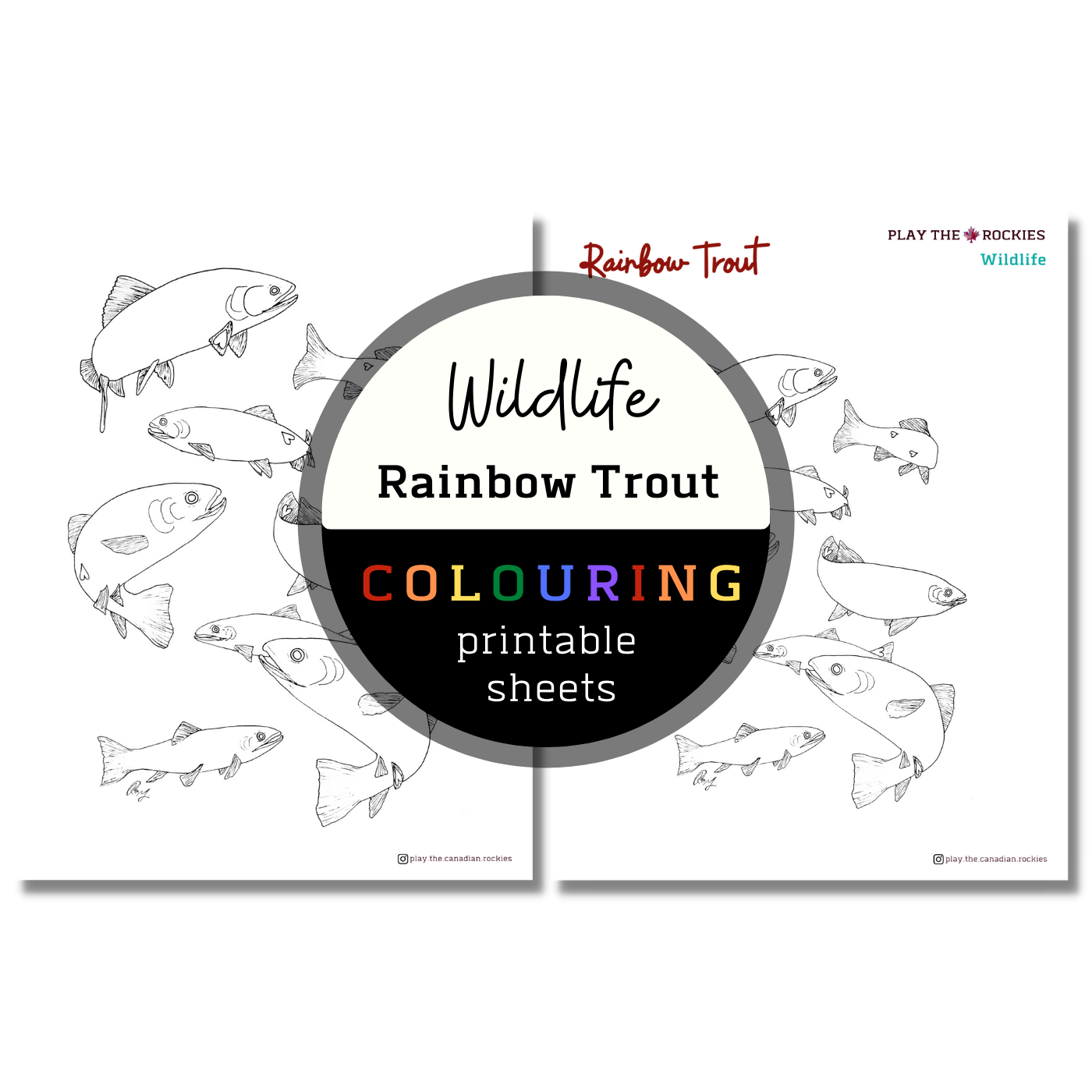Set of 15 Wildlife Colouring Sheets ⌲ Printable