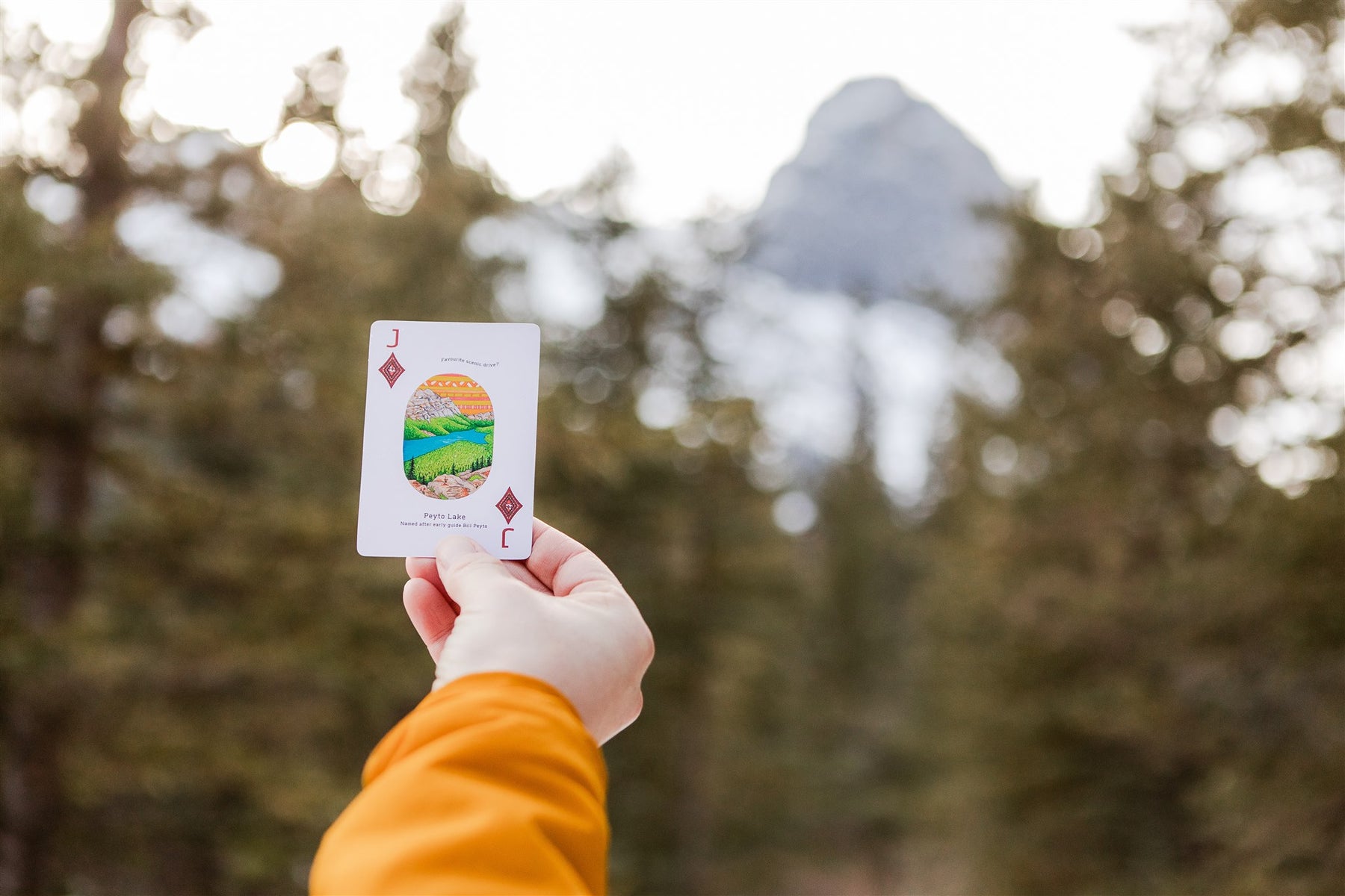 Set of 2 Decks of Playing Cards - Play the Canadian Rockies