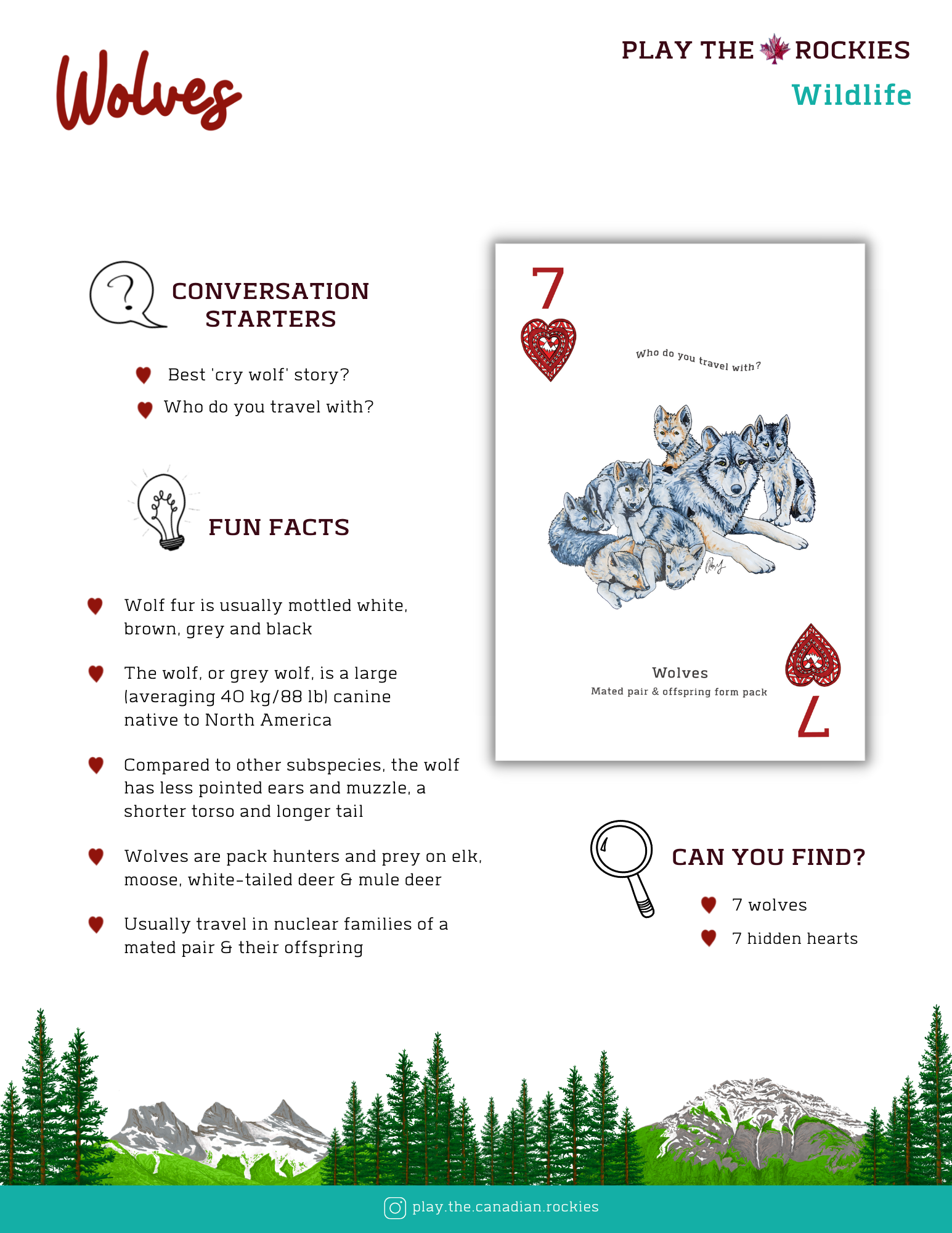 7 Wolves - Wildlife - Information Sheet