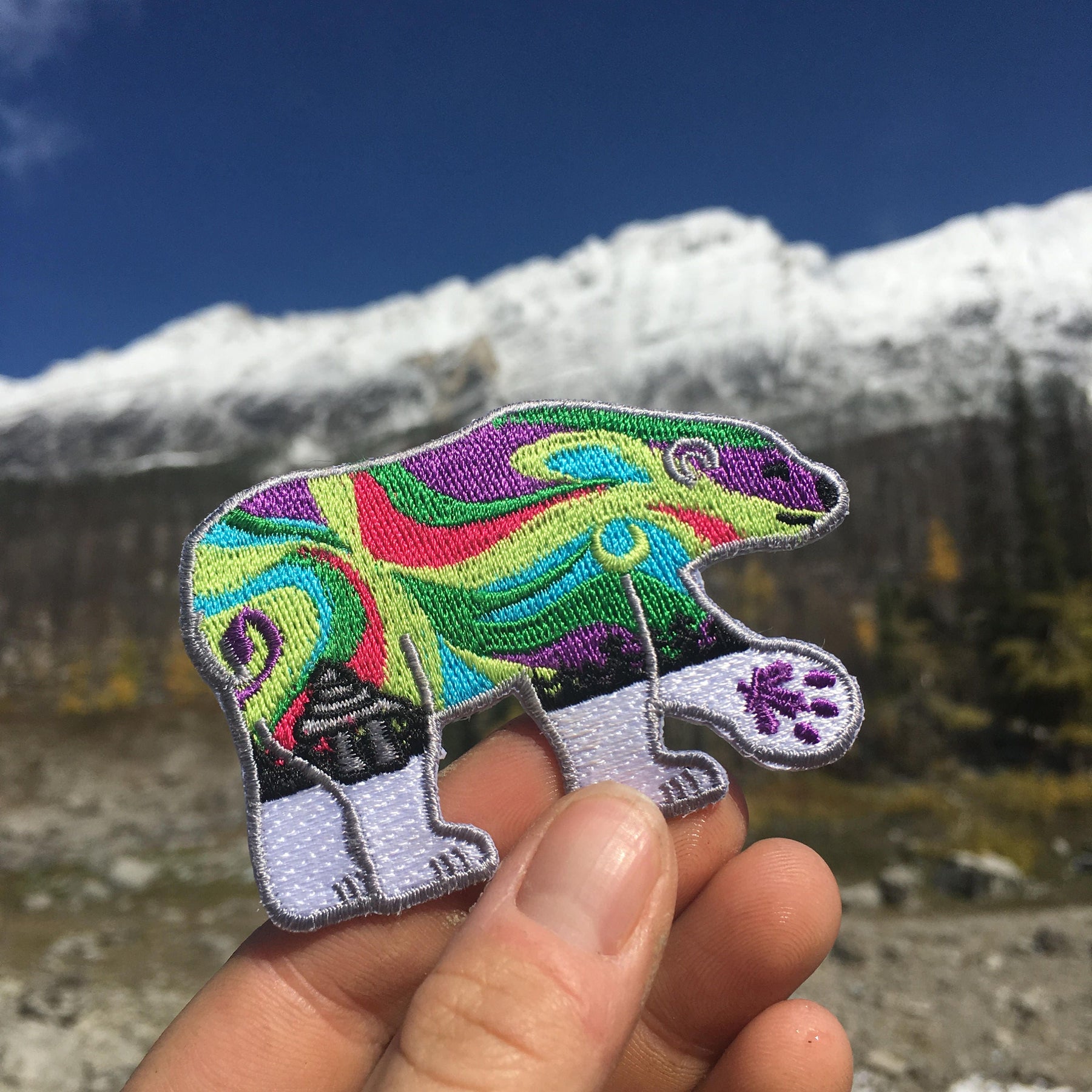 Polar Bear Patch: Northern Lights