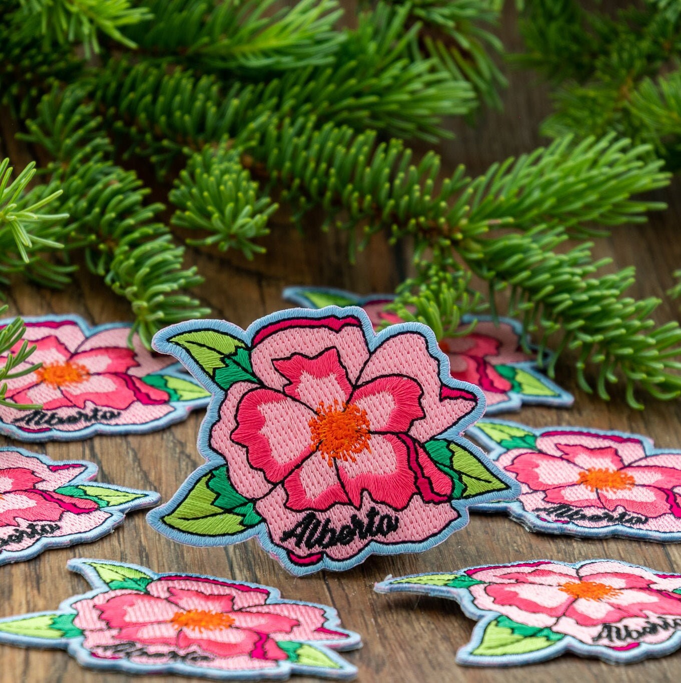 Alberta Wild Rose Patch
