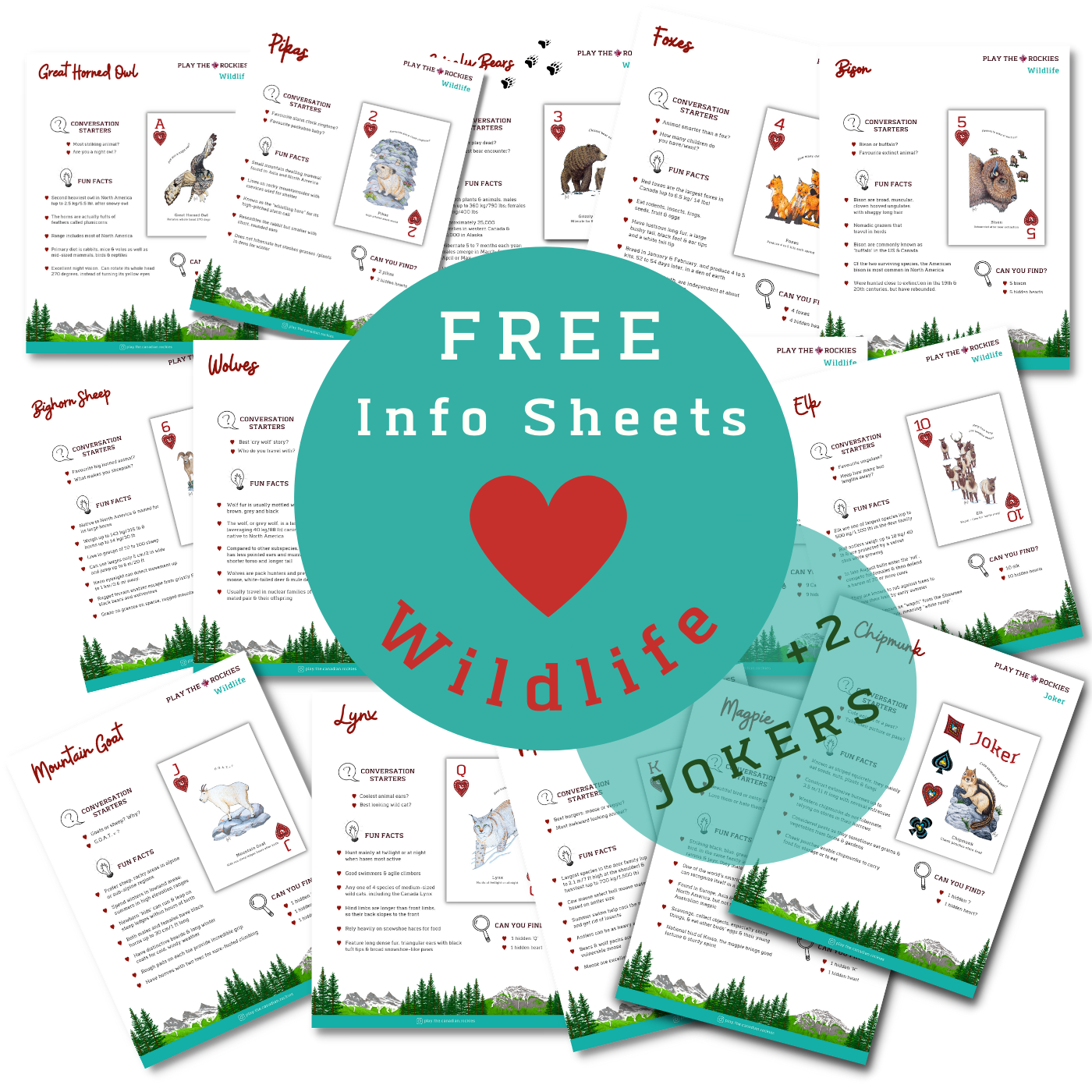 Hearts Wildlife - Information Sheets